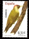 Stamps : Europe : Spain :  Pito real (Picus viridis)