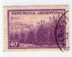 Stamps : America : Argentina :  29  Caña de azucar 