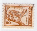 Stamps Argentina -  55  Puma 