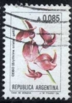 Stamps Argentina -  