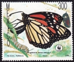 Stamps America - Mexico -  MARIPOSAS