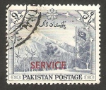 Stamps Pakistan -  primavera en gilgit