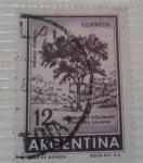 Stamps America - Argentina -  RIQUEZA FORESTAL