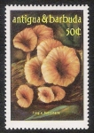 Stamps America - Antigua and Barbuda -  SETAS-HONGOS: 1.105.002,00-Trogia buccinalis