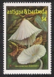 Sellos de America - Antigua y Barbuda -  SETAS-HONGOS: 1.105.004,00-Leucocoprinus brebissonii