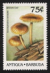 Stamps America - Antigua and Barbuda -  SETAS-HONGOS: 1.105.015,00-Xeromphalina tenuipes