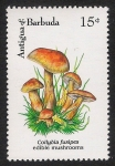 Stamps America - Antigua and Barbuda -  SETAS-HONGOS: 1.105.032,00-Collybia fusipes