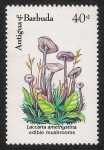 Stamps America - Antigua and Barbuda -  SETAS-HONGOS: 1.105.034,00-Laccaria amethystina
