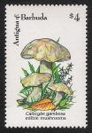 Stamps America - Antigua and Barbuda -  SETAS-HONGOS: 1.105.037,00-Calocybe gambosa