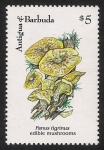 Stamps America - Antigua and Barbuda -  SETAS-HONGOS: 1.105.038,00-Panus tigrinus