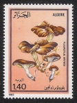 Sellos de Africa - Argelia -  SETAS-HONGOS: 1.102.003,00-Pleurotus eryngil
