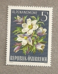 Stamps : Europe : Austria :  Anemona de los Alpes