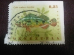 Stamps : America : Venezuela :  Ciuchla ocellaris.PAVON