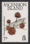 Stamps United Kingdom -  SETAS-HONGOS: 1.107.001,00-Marasmius echinosphaerus