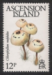 Stamps United Kingdom -  SETAS-HONGOS: 1.107.002,00-Chlorophyllum molybdites
