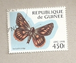 Stamps : Africa : Guinea :  Mariposa Pyrrhocalles antiga