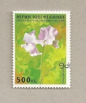Sellos de Africa - Guinea -  Flor Lathyrus odoratus
