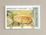 Stamps : Africa : Togo :  Tortuga Puxidea mouthi