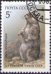 Stamps Russia -  