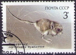 Stamps Russia -  