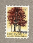 Stamps Belgium -  Conservación Naturaleza
