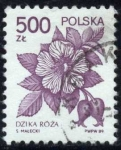 Stamps Poland -  