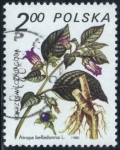 Stamps Poland -  