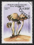 Stamps Africa - Benin -  SETAS-HONGOS: 1.114.015,00-Psilocybe caerulescens mazatecorum - 