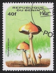Stamps Benin -  SETAS-HONGOS: 1.114.011,01-Psilocybe cubensis -Dm.996.139-Mch.849-Sc.877