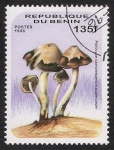 Stamps : Africa : Benin :  SETAS-HONGOS: 1.114.015,01-Psilocybe caerulescens mazatecorum -Dm.996.143-Mch.853-Sc.881