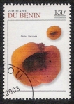 Stamps Benin -  SETAS-HONGOS: 1.114.041,00-Peziza succosa - 