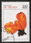 Stamps Benin -  SETAS-HONGOS: 1.114.042,00-Otidea onotica - 