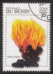 Stamps Benin -  SETAS-HONGOS: 1.114.043,00-Colocera viscosa