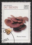 Sellos de Africa - Benin -  SETAS-HONGOS: 1.114.044,00-Pleurotus osteatus