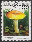 Stamps Africa - Benin -  SETAS-HONGOS: 1.114.023,01-Amanita disporigera -Sc.1031