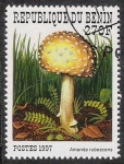 Sellos de Africa - Benin -  SETAS-HONGOS: 1.114.024,01-Amanita rubescens -Sc.1032