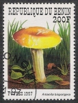 Stamps Benin -  SETAS-HONGOS: 1.114.023,02-Amanita disporigera -Sc.1031
