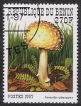 Stamps Benin -  SETAS-HONGOS: 1.114.024,02-Amanita rubescens -Sc.1032