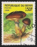 Stamps Benin -  SETAS-HONGOS: 1.114.032,01-Suillus luteus -Sc.1056