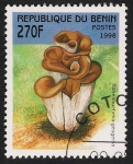 Sellos del Mundo : Africa : Benin : SETAS-HONGOS: 1.114.034,01-Hohenbuhelia geogenia -Sc.1058