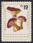 Sellos de Europa - Bulgaria -  SETAS-HONGOS: 1.120.003,00-Boletus elegans