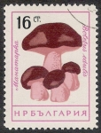 Stamps Bulgaria -  SETAS-HONGOS: 1.120.004,00-Boletus edius