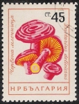 Stamps Bulgaria -  SETAS-HONGOS: 1.120.005,00-Lactarius deliciosus
