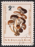 Stamps Bulgaria -  SETAS-HONGOS: 1.120.008,00-Armillariella mellea