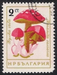 Sellos de Europa - Bulgaria -  SETAS-HONGOS: 1.120.001,01-Amanita caesarea -Dm.961.78-Mch.1271-Sc.1883
