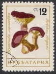 Sellos de Europa - Bulgaria -  SETAS-HONGOS: 1.120.003,01-Boletus elegans -Dm.961.80-Mch.1273-Sc.1885