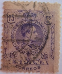 Sellos de Europa - Espaa -  alfonso XIII.tipo medallon