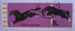 Stamps Poland -  caballos