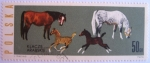 Stamps Poland -  caballos