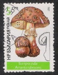 Stamps Bulgaria -  SETAS-HONGOS: 1.120.021,01-Amanita rubescens -Dm.978.4-Y&T.3071-Mch.3546-Sc.3232